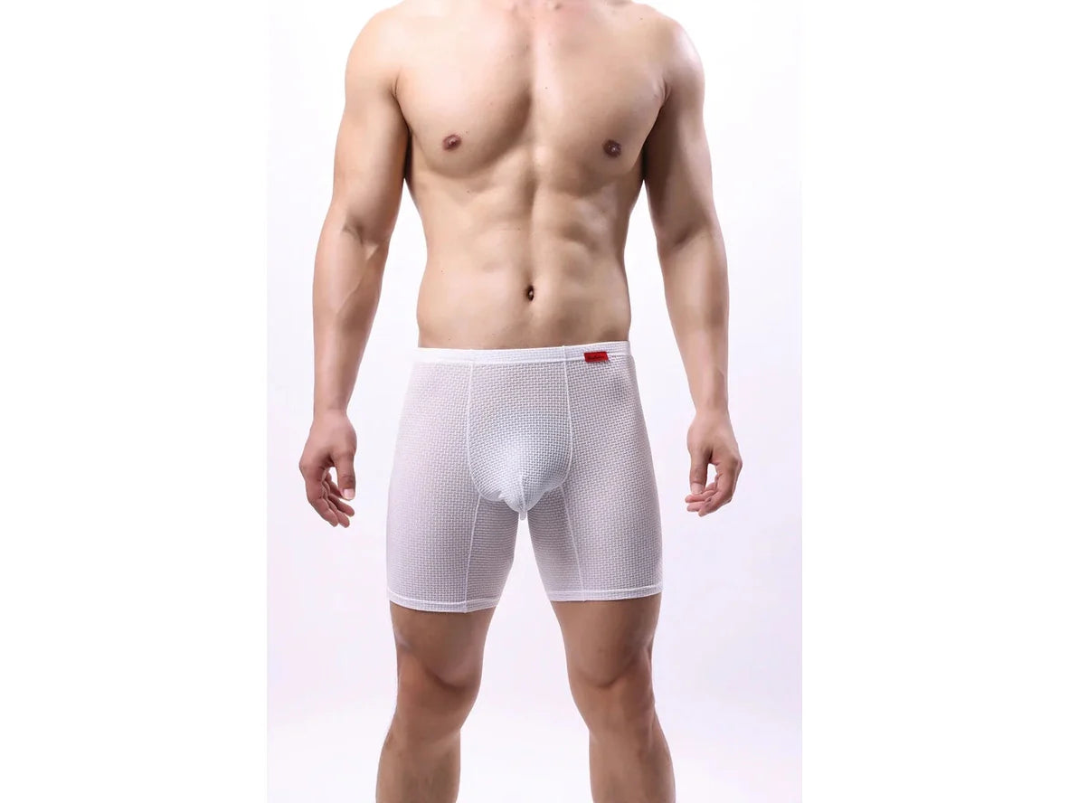 Gay Boxer Briefs | Transparent Mesh Boxers Briefs