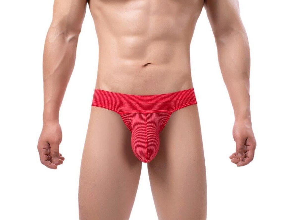 Gay Briefs | Sexy Low-Rise Pouch Underwear Briefs