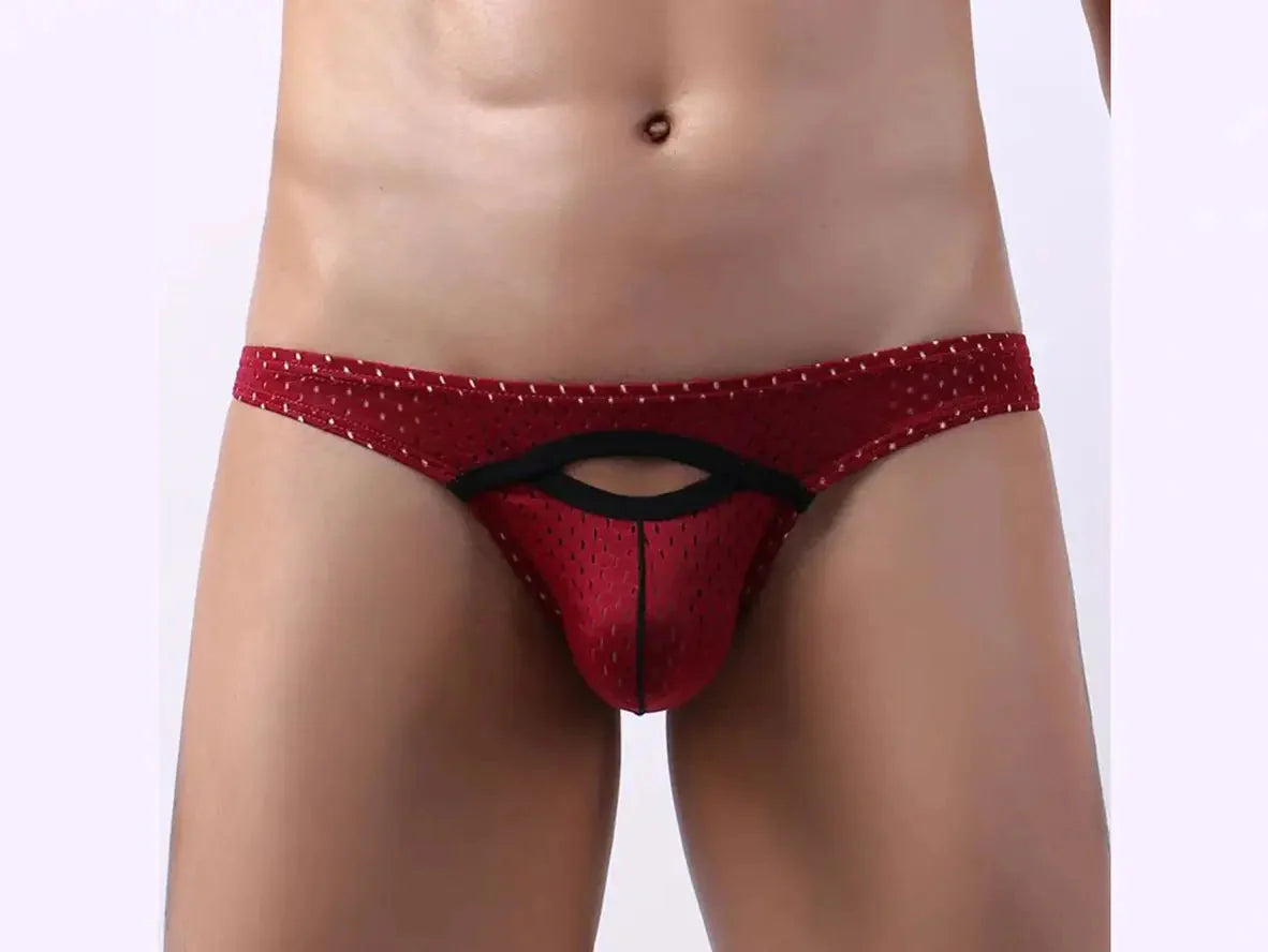 Gay Briefs | Sexy Pouch Mesh Briefs
