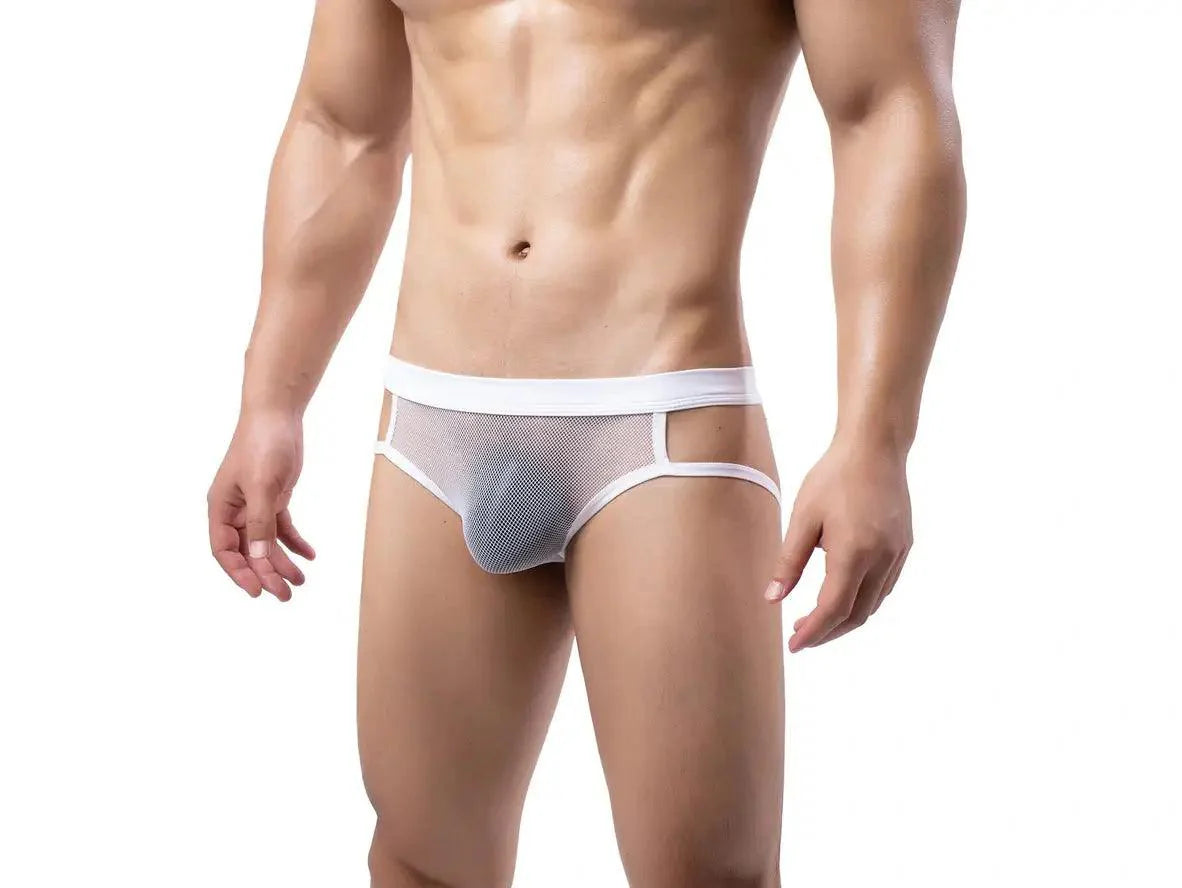 Gay Jock Briefs | Transparent Mesh Jock Briefs