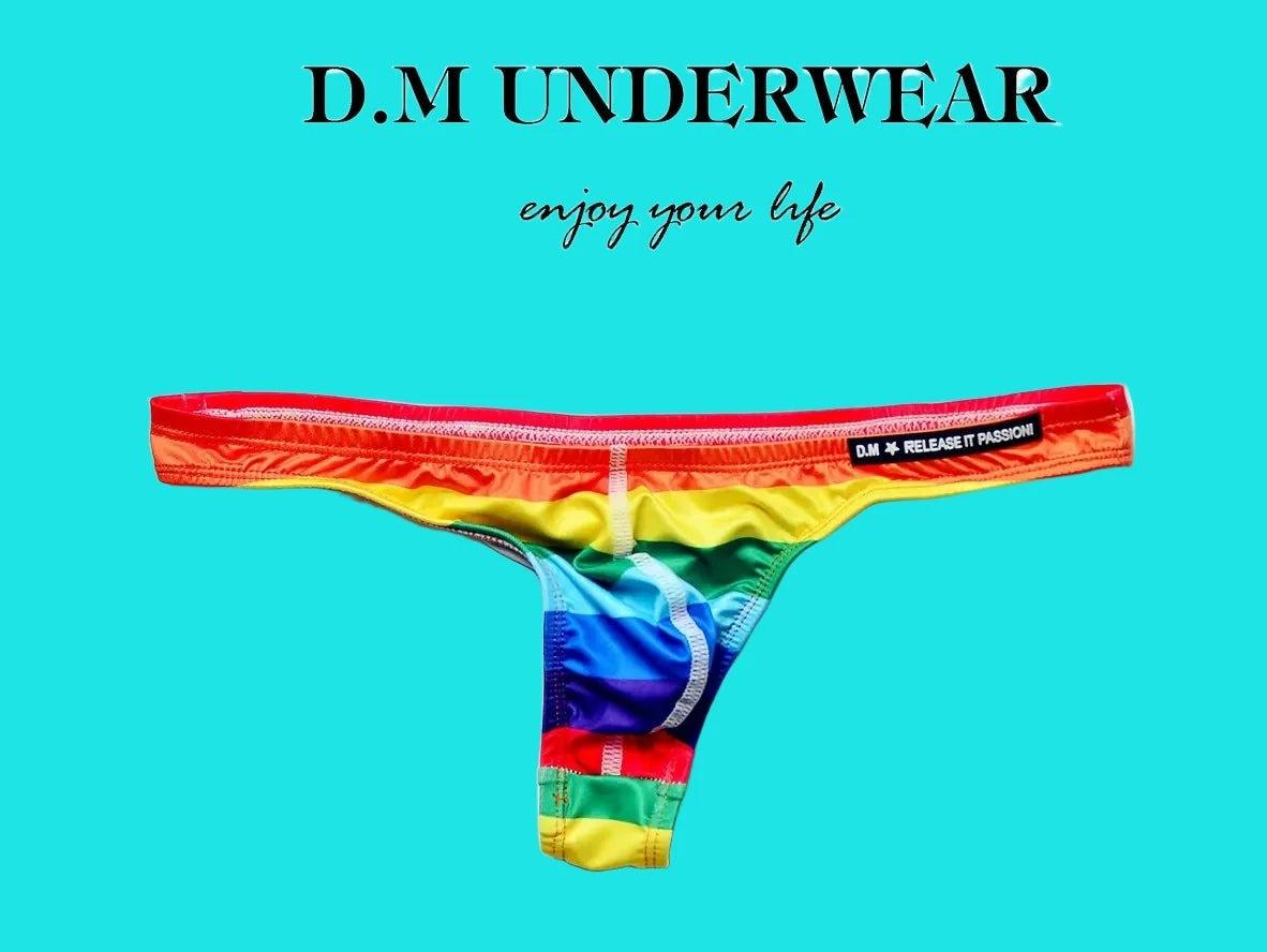 Gay Swim Thongs | D.M Rainbow Pride Temptation Swim Thongs