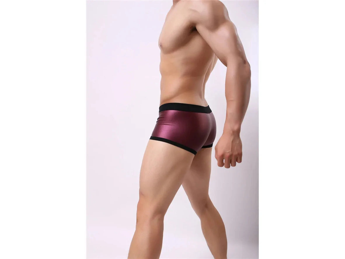 Gay Swim Trunks | BRAVE PERSON Sport Swim Trunks