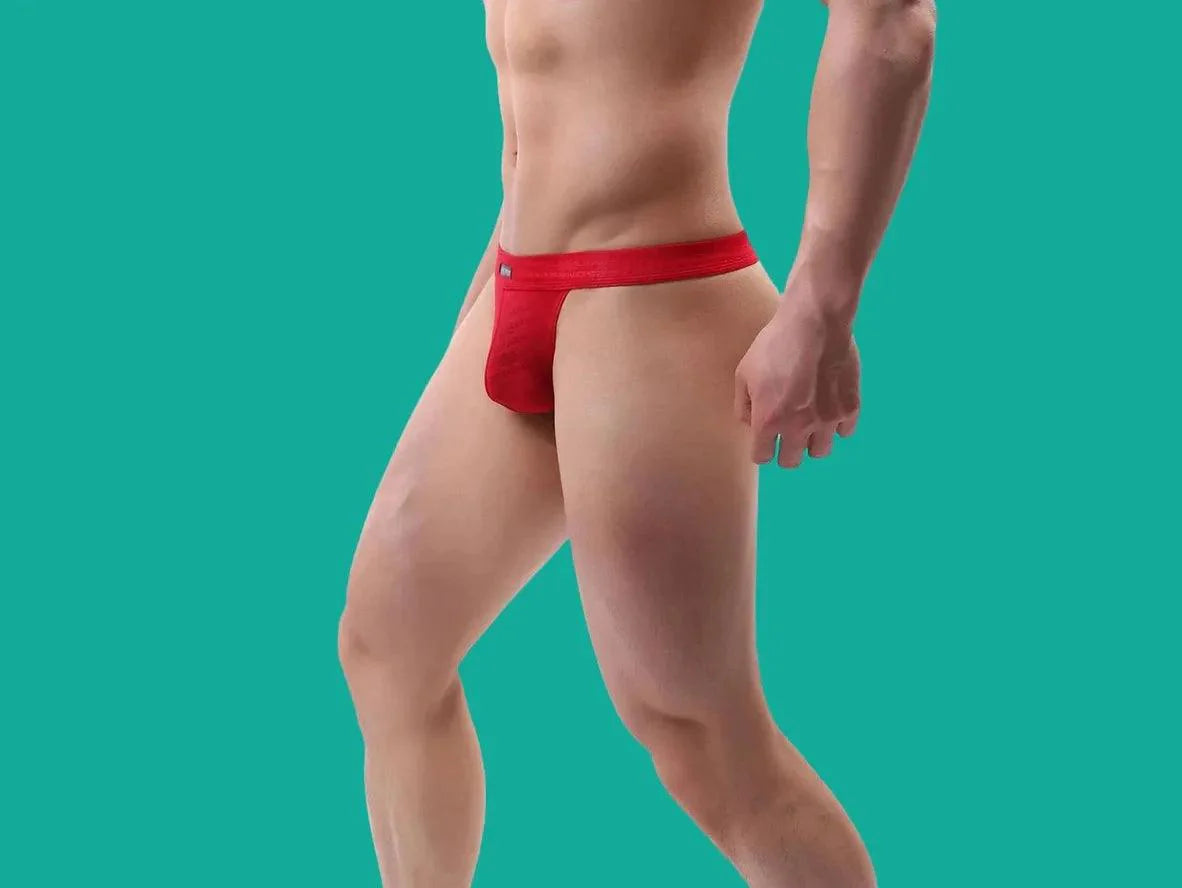 Gay Thongs | BRAVE PERSON Mesh Lace Thongs
