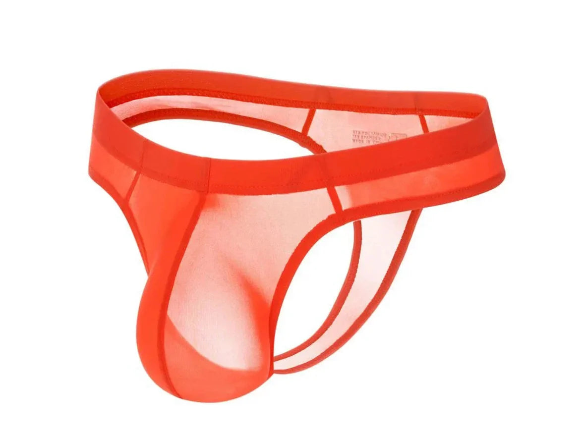 Gay Thongs | ORLVS Transparent Sexy Thongs