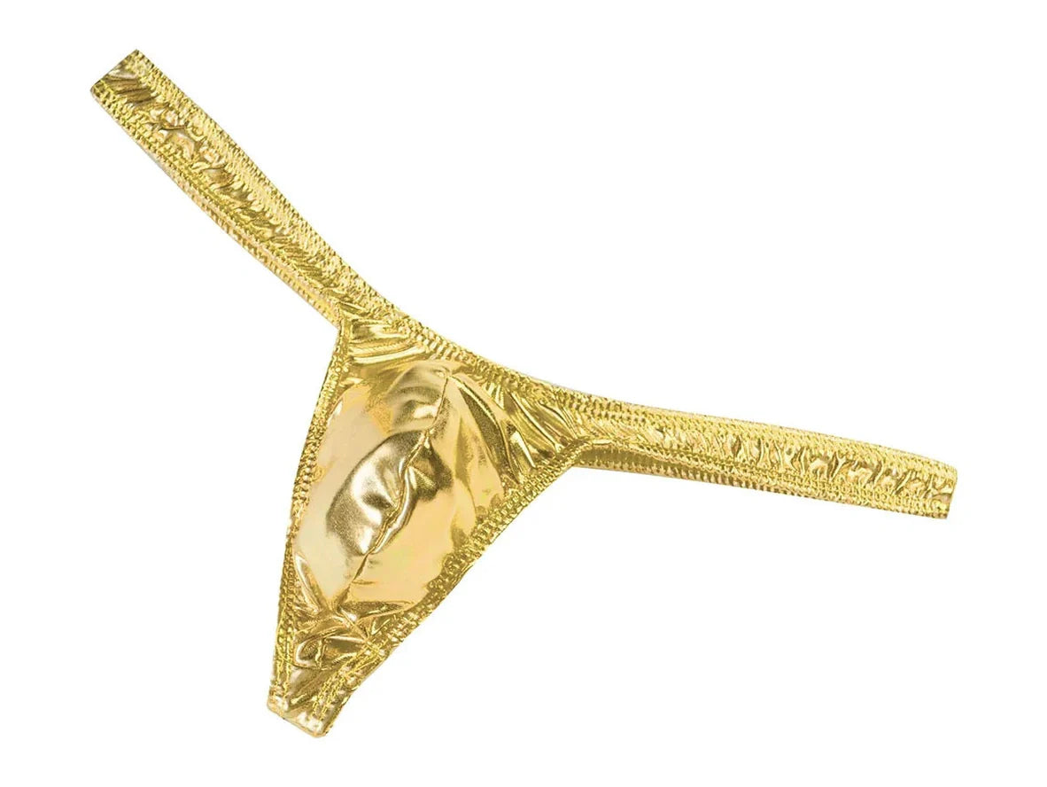 Gay Thongs | Shiny Low Rise T-Back Thongs