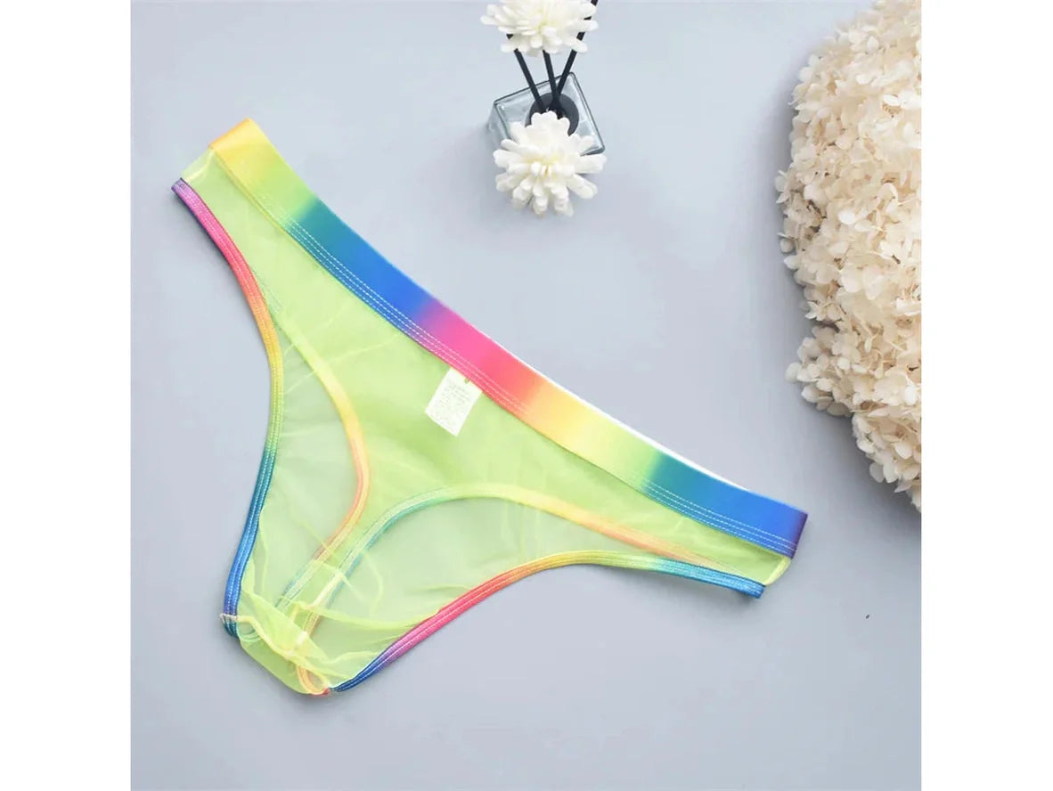 Gay Thongs | Transparent Micro Mesh Thongs