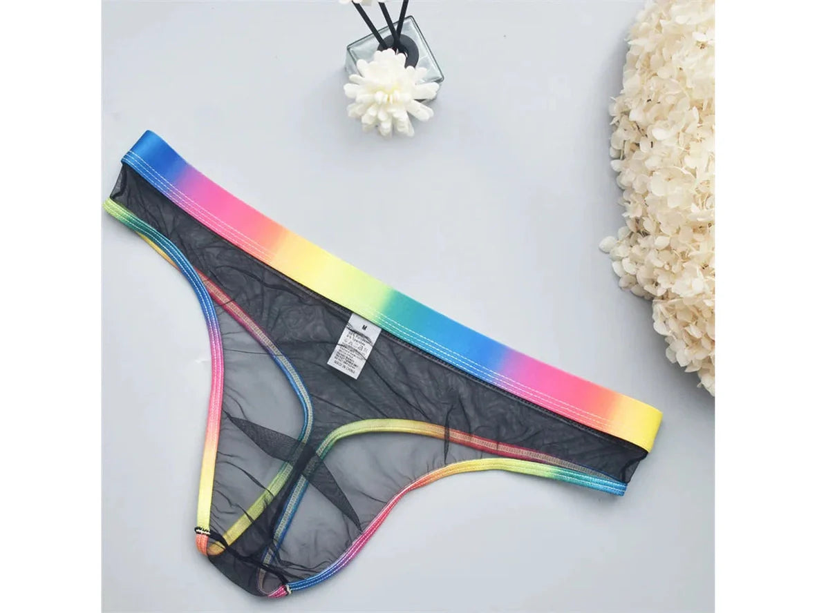 Gay Thongs | Transparent Micro Mesh Thongs