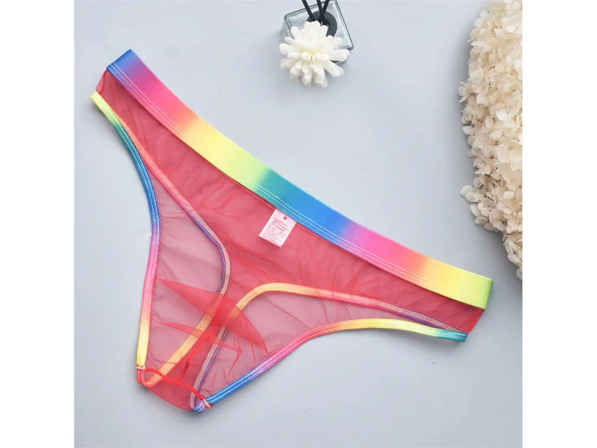 Gay Thongs | Transparent Micro Mesh Thongs