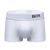 ORLVS Men's Panties Sexy Man Undewear Boxer Men Underpants Boxershort Underpant Male Panties 3D Pouch Shorts Under Wear Pants