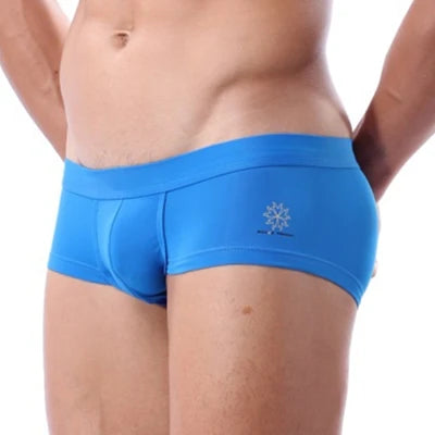 BRAVE PERSON Mens Underwear Boxer Shorts High-quality Low-waist Nylon Underpants Men Boxers Trunks 4 Color Boxer Briefs