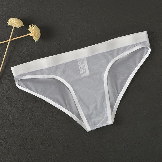Men's Ice Silk Sexy Underwear Low Rise Briefs Seamless Breathable Mesh Panties See Through Lingerie Low Waist Soft Underwear