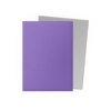 Dragon Shield:  Nebula & Silver Dual Matte Sleeves (100)