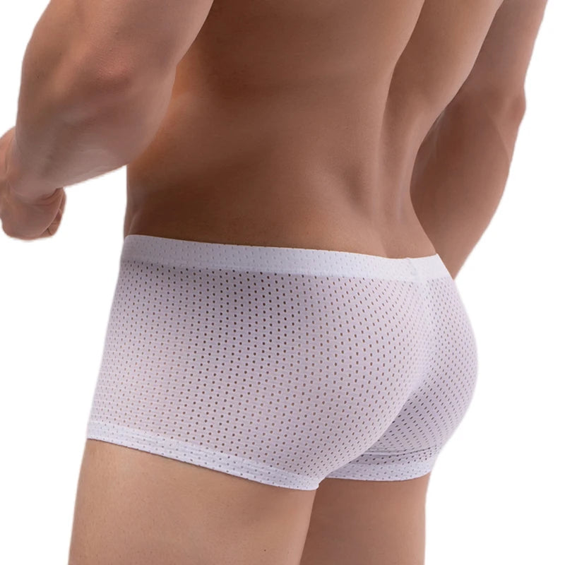 Men's Mesh Underwear Boxer Briefs See Through