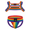 Sexy Mens Harness Underwear Sets Gay Underwear Lingerie Bondage Belts Fetish Mens Jockstrap Thong Rainbow Pattern