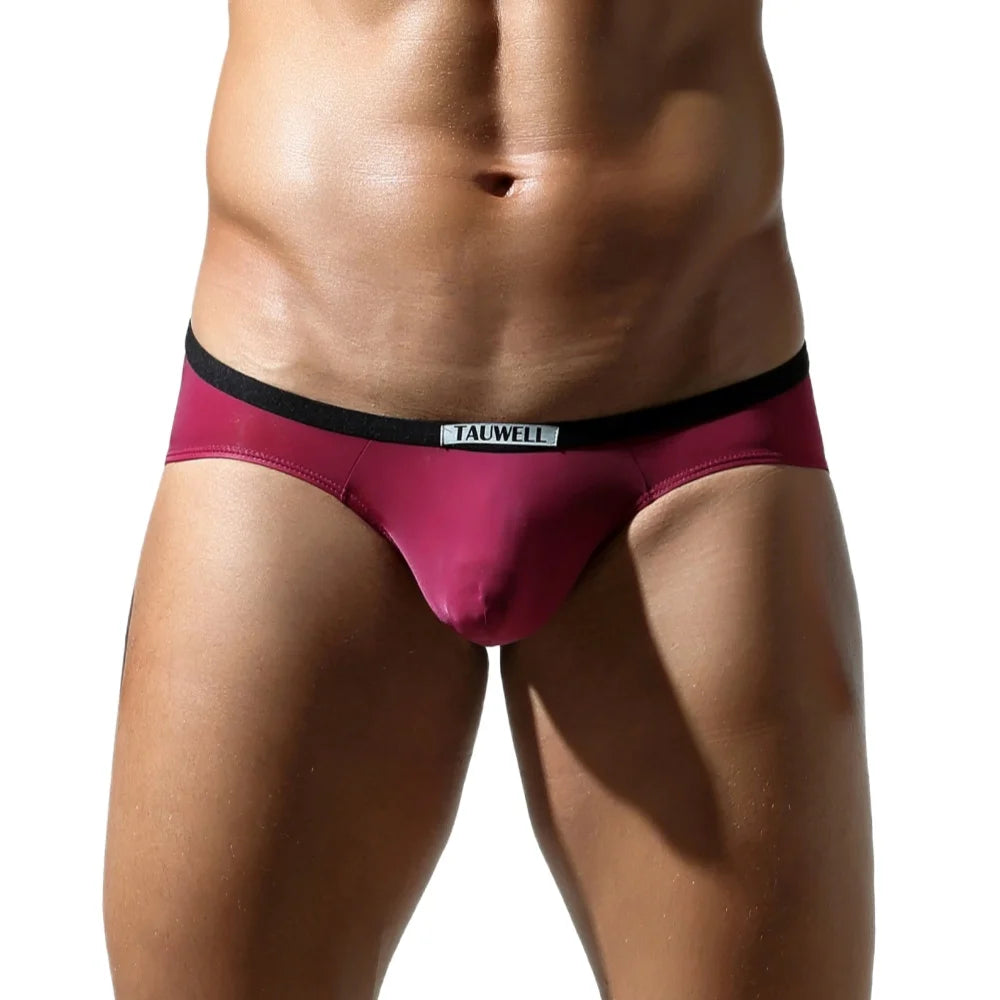 TAUWELL 2025 New Mens Briefs Silky Low-rise  Underwear Sexy Men Panties Briefs