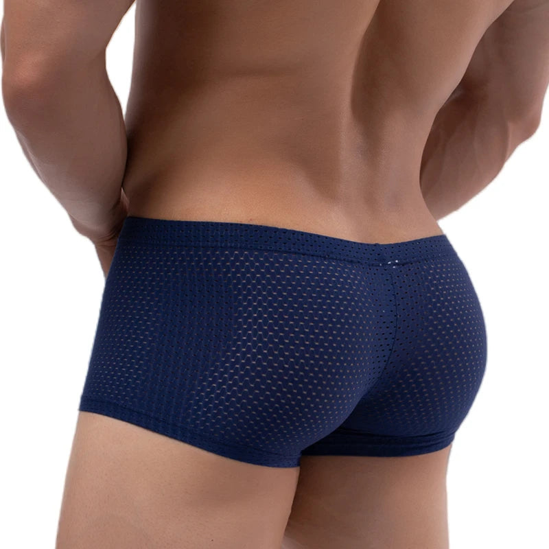Men's Mesh Underwear Boxer Briefs See Through