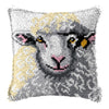 Knot Pillow Package Cartoon Animals Latch Hook Kit Cushion Pillowcase Kussen Set For Needlework Dog Raccoon Latch Hook Kits DIY