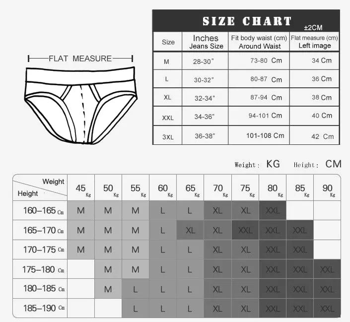 Men's Leopard Print Swimwear Briefs