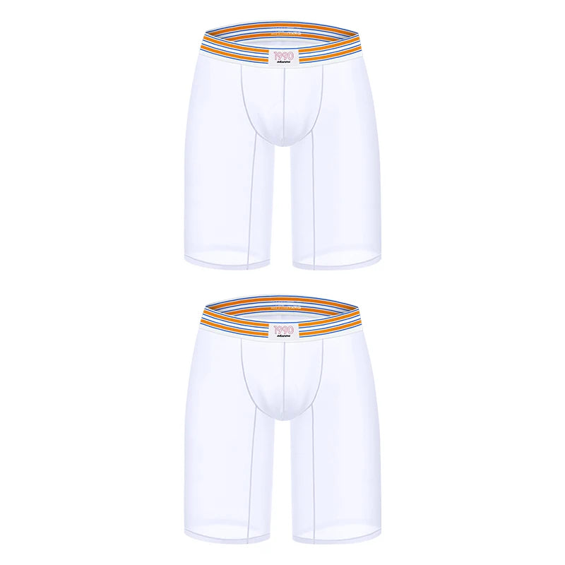 1/2/3PCS Men's Ice Silk Boxers Transparent Boxers 0.01 Ultra-thin Fabric See Through Underpants Seamless Underwear Boxer Shorts