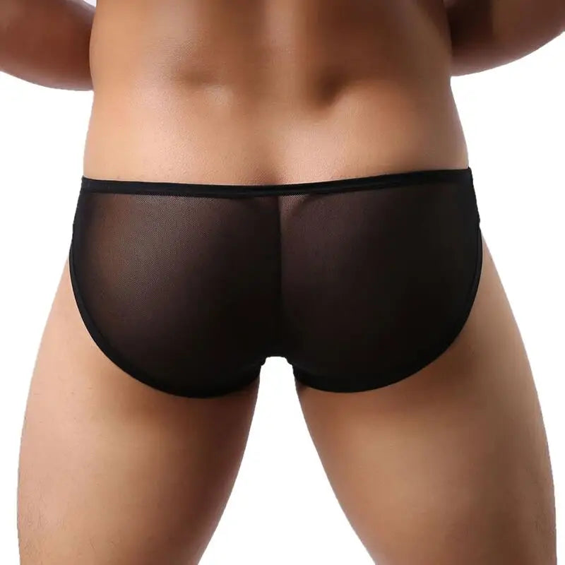 Brave Person Brand Underwear High Quality Men's Briefs Transparent Mesh Sexy Underpants Men Brief 4 Color Free Shipping B1142