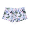 Swim Boxers Men Swimwear Low Waist Sexy Swimsuit Swimming Shorts Trunks Bathing Suit Hot Sell Sunga hombre Beachwear