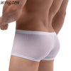 Men's Mesh Underwear Boxer Briefs See Through