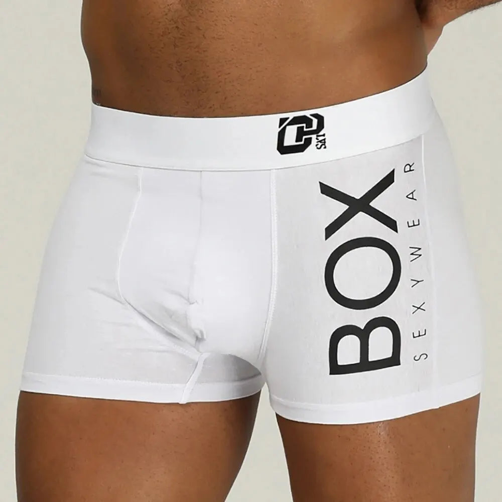 1/2Pcs ORLVS Mens Boxer Sexy Underwear Soft Long Boxer Cotton Soft Underpant Male Panties 3D Pouch Shorts Under Wear Pants Short