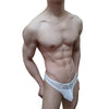 Mens Slip Bikini Jockstrap Briefs Mens Panties Sexy Fishnets Hole Transparent Mesh Ice Silk Men Underwear Sissy Men Underpants