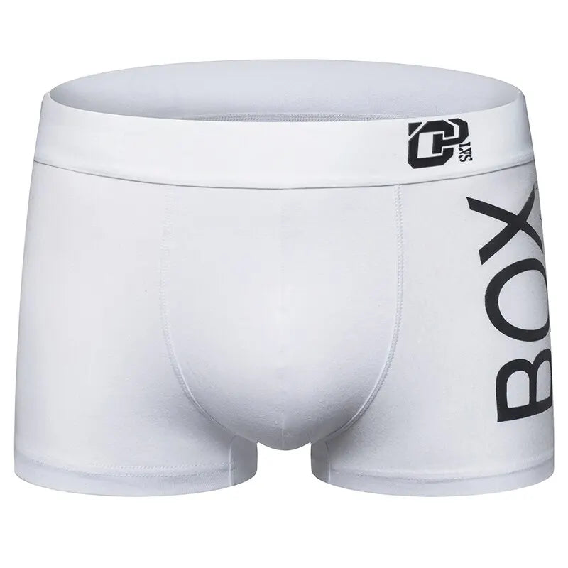 1/2Pcs ORLVS Mens Boxer Sexy Underwear Soft Long Boxer Cotton Soft Underpant Male Panties 3D Pouch Shorts Under Wear Pants Short