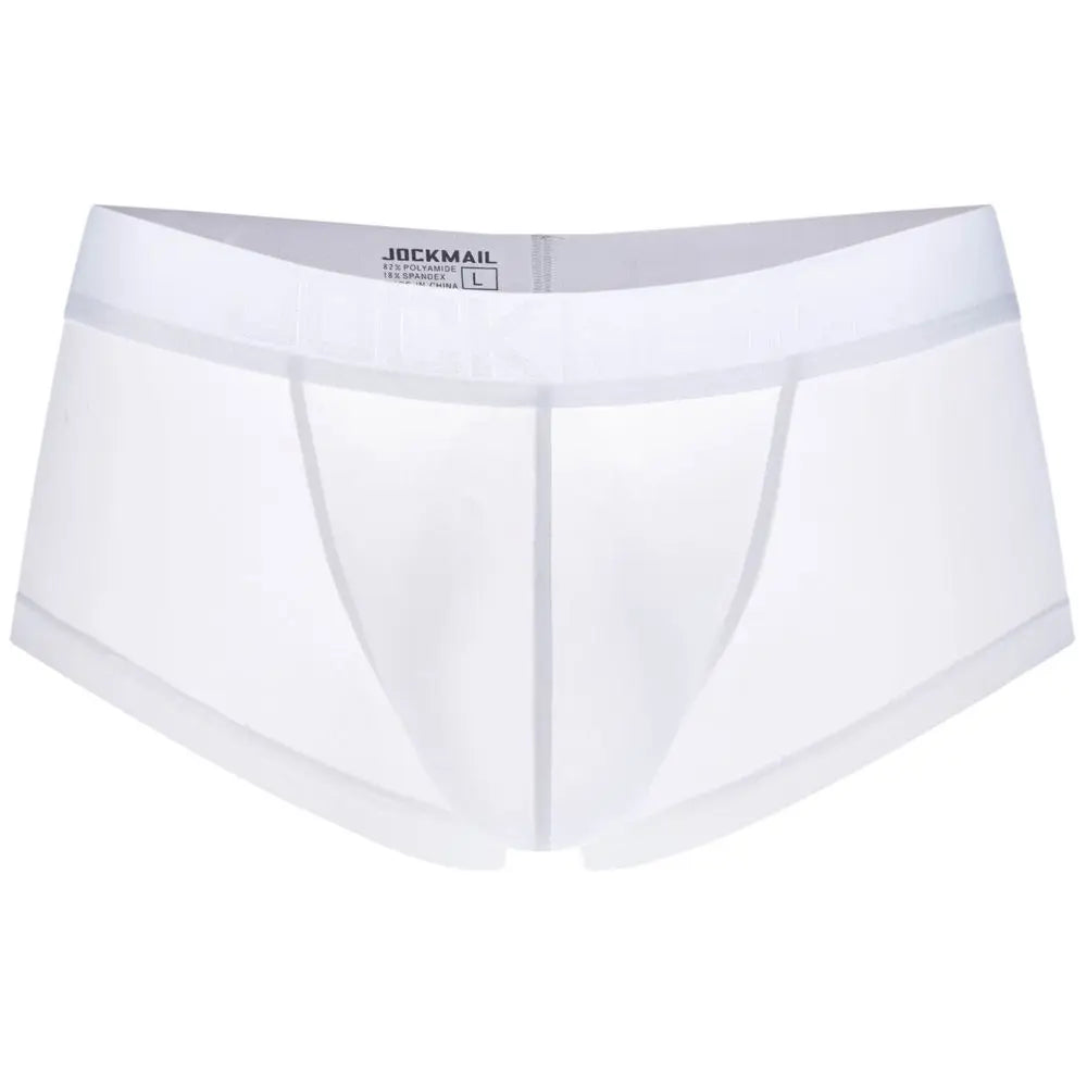 Sexy Underwear Men Boxer Panty Shorts Ice Silk Original  Panties Breather Boxer Briefs Ultra-thin Transparent Fun Gay Underwear