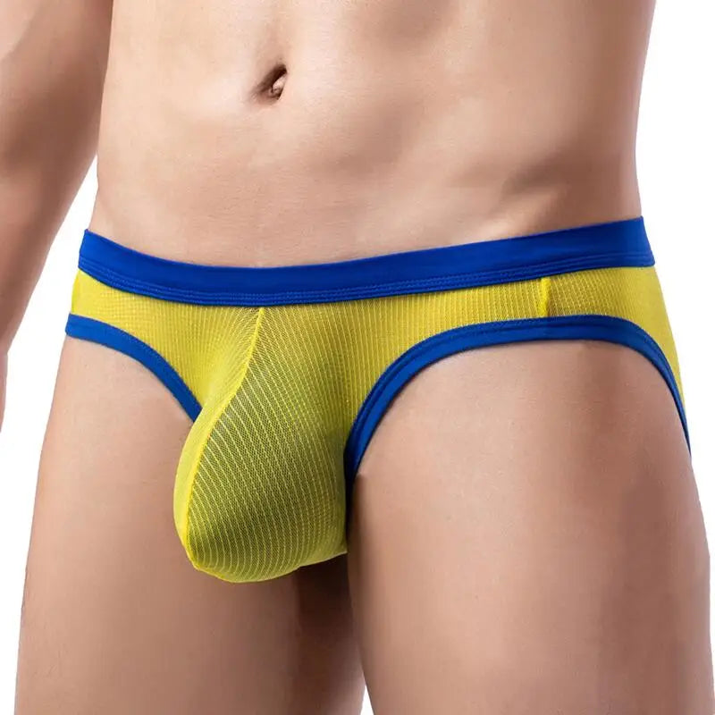 Sexy Men Underwear Briefs U Convex Pouch Design Low Rise Thin Mesh Perspective Underpants Male Panties Briefs