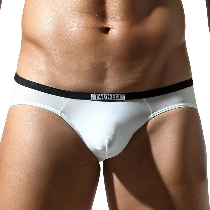 TAUWELL 2025 New Mens Briefs Silky Low-rise  Underwear Sexy Men Panties Briefs