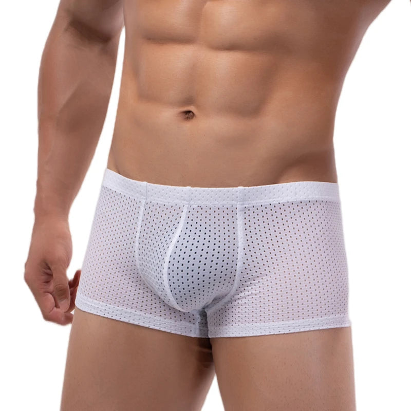 Men's Mesh Underwear Boxer Briefs See Through