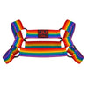 Rainbow Men Bondage Body Chest Harness Costume Male Elastic Strap Gay Lingerie Halter Neck Nightclub Hombre Hollow LGBT Clothing