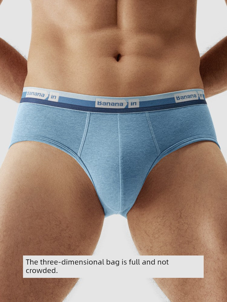 Banana 301S Silver Leather Cotton Crotch Antibacterial Briefs