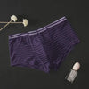 Men's Transparent Boxers Mesh Striped Underwear Low Waist Ultra-Thin Bikini Sexy Breathable Underwear Summer 3d Crotch Boxer