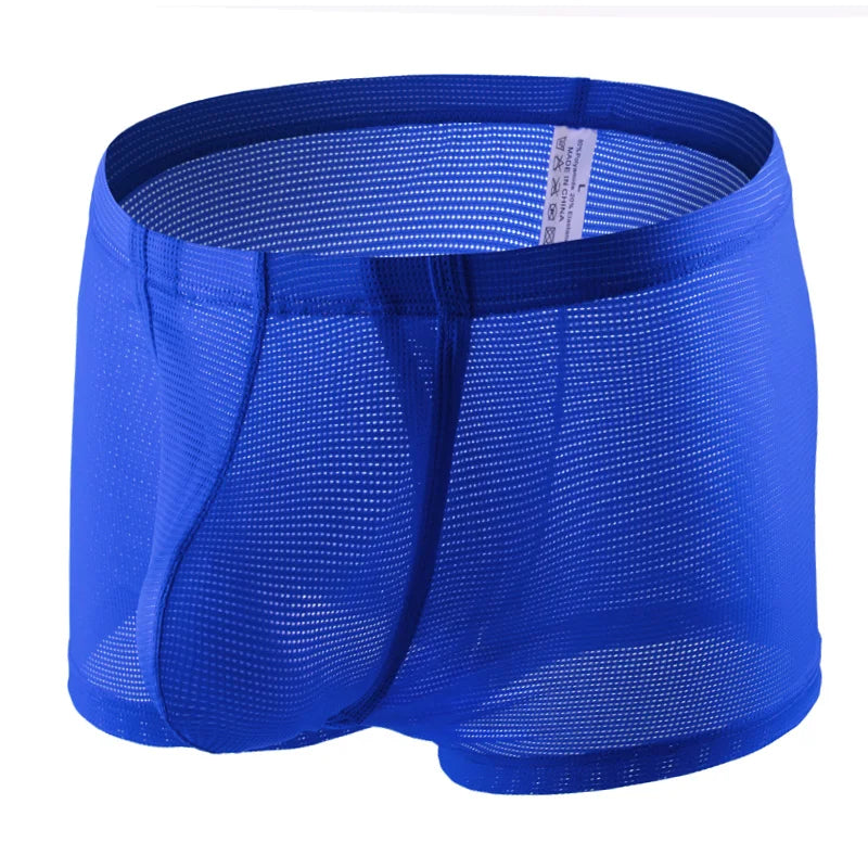 CLEVER-MENMODE Mesh Sexy Underwear Boxer Men Sheer Trunks Side Open Crotch  Transparent Boxershort Penis Pouch Panties Underpant