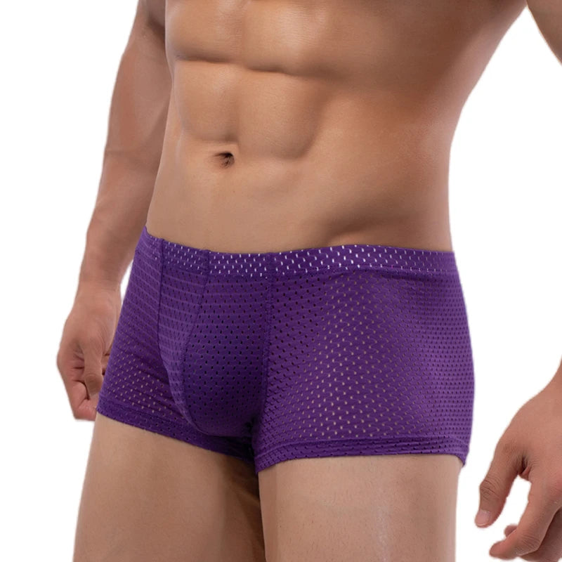 Men's Mesh Underwear Boxer Briefs See Through