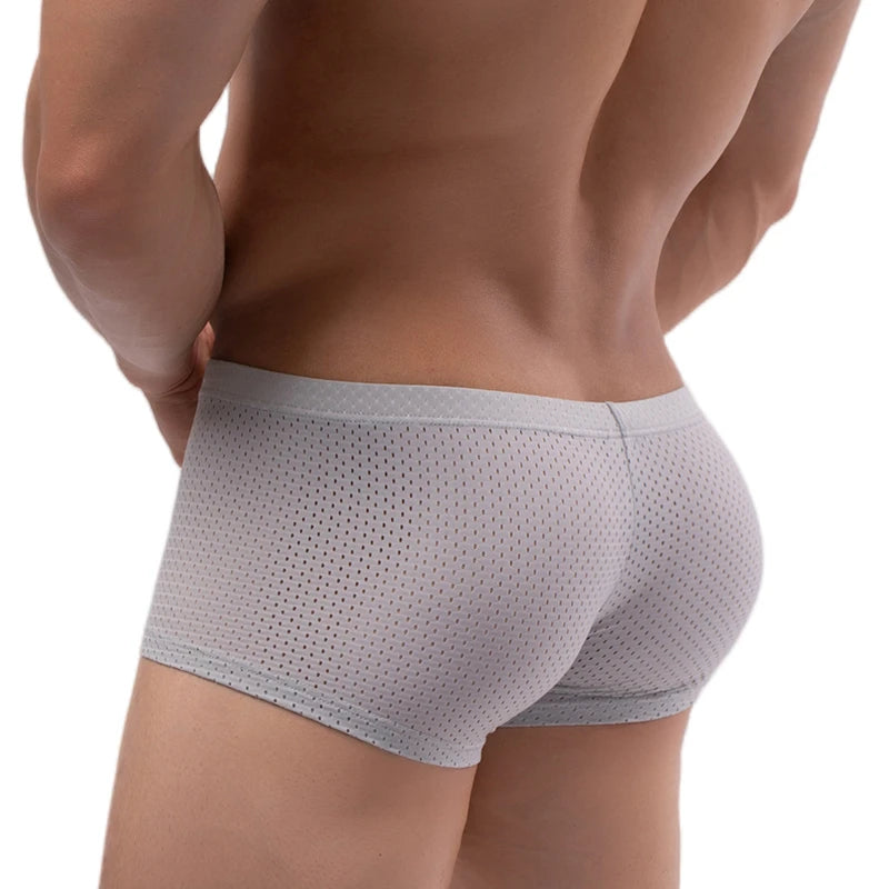 Men's Mesh Underwear Boxer Briefs See Through