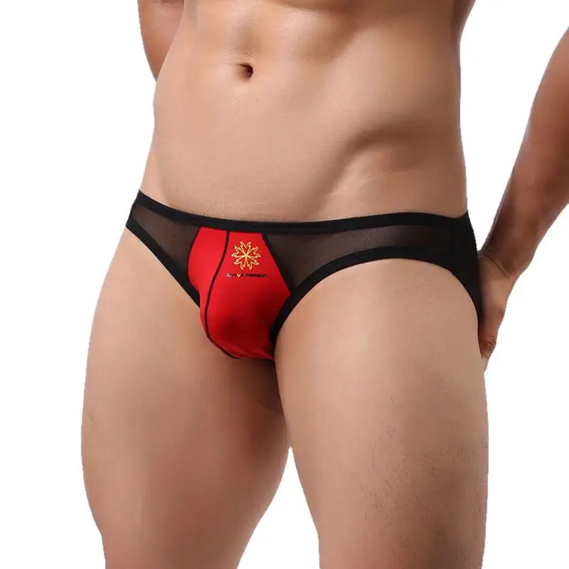 Brave Person Brand Underwear High Quality Men's Briefs Transparent Mesh Sexy Underpants Men Brief 4 Color Free Shipping B1142