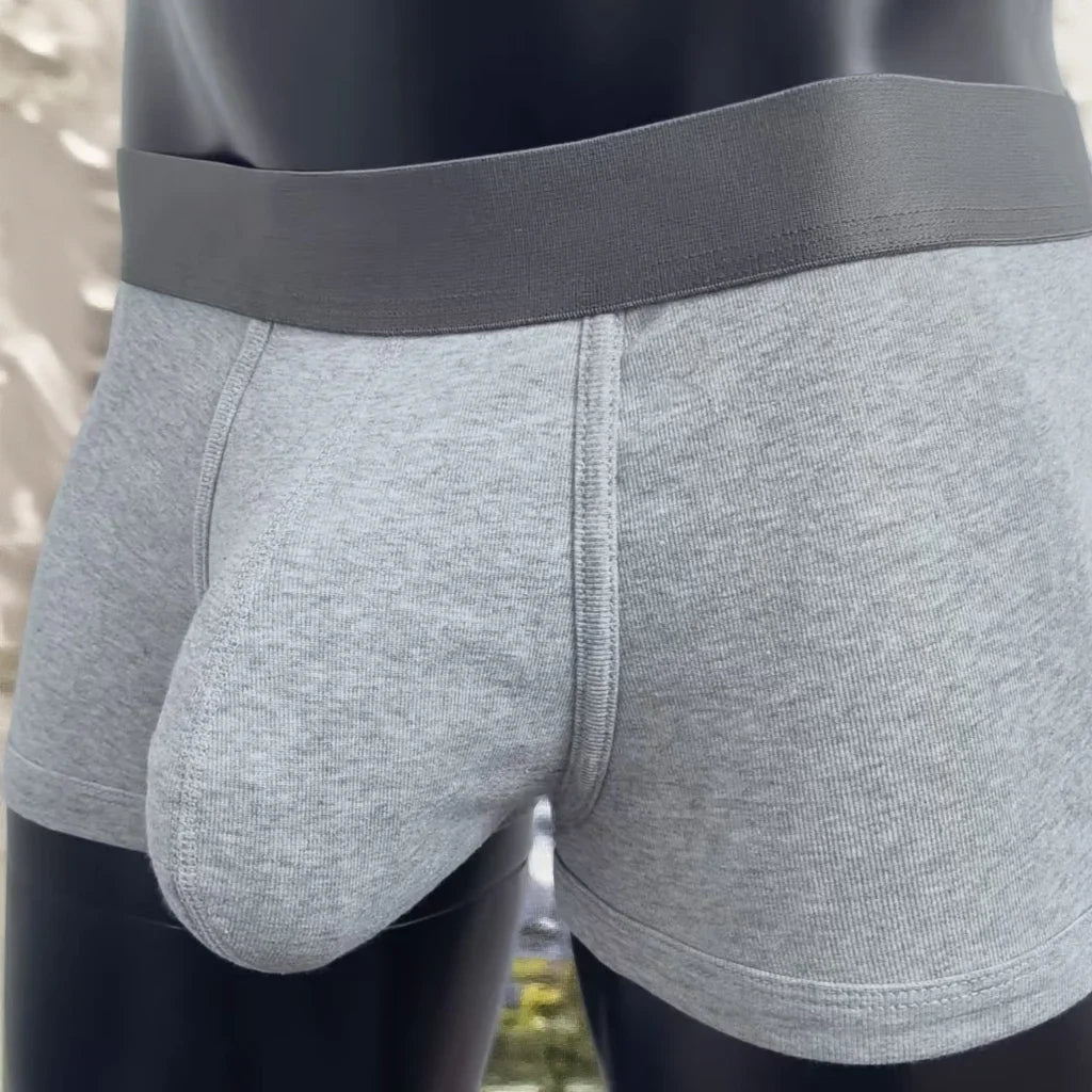 2026 New Classic Mens Boxer Briefs with Large Pocket Cotton Breathable Soft Sexy Underwear for Mens Comfortable Pouch Underpants