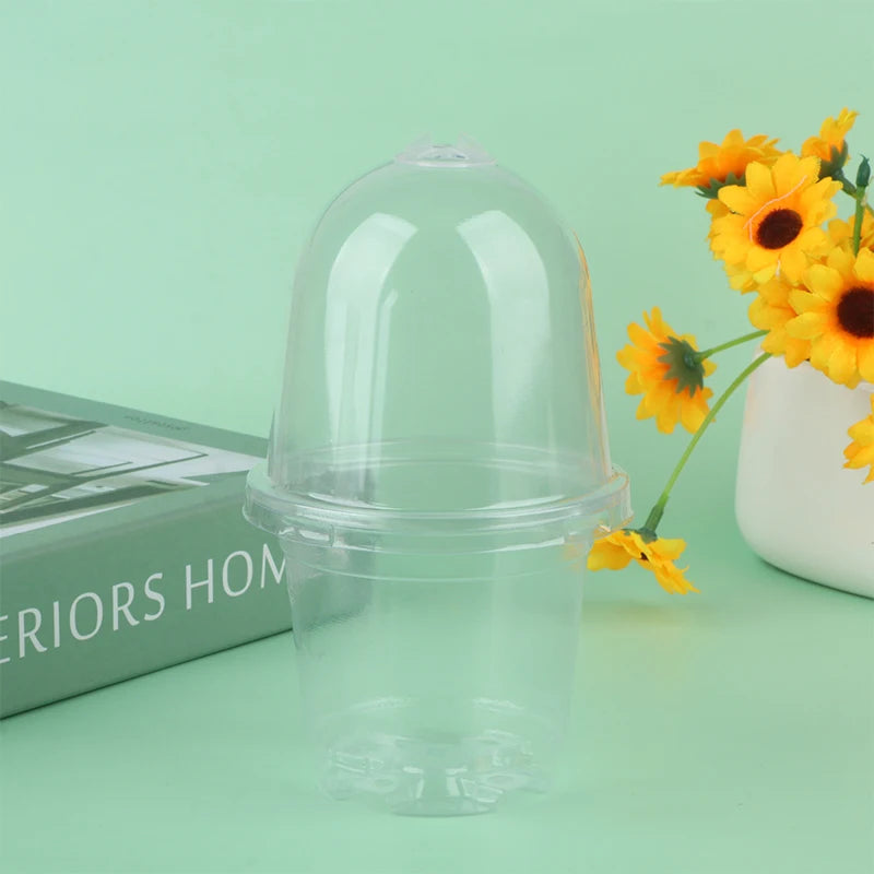 5Pcs Plant Nursery Pot Transparent Plastic PET Seed Stater Cups with Cover Humidity Dome Tray Transplanting Planter Containers