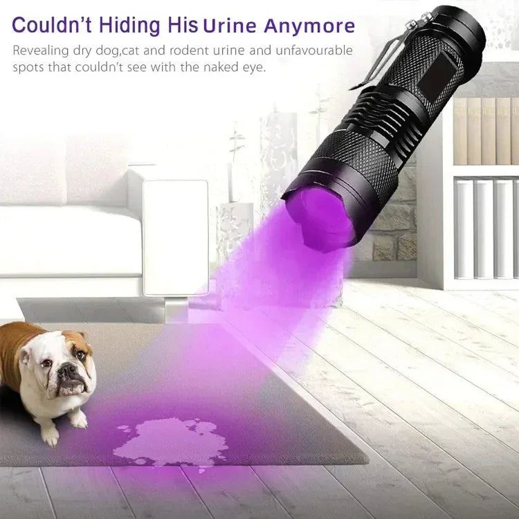 UV Flashlight 395nm Black Light Flashlights Ultraviolet Lamp UV Torch UV Light Detector for Pet Urine Stains Scorpion