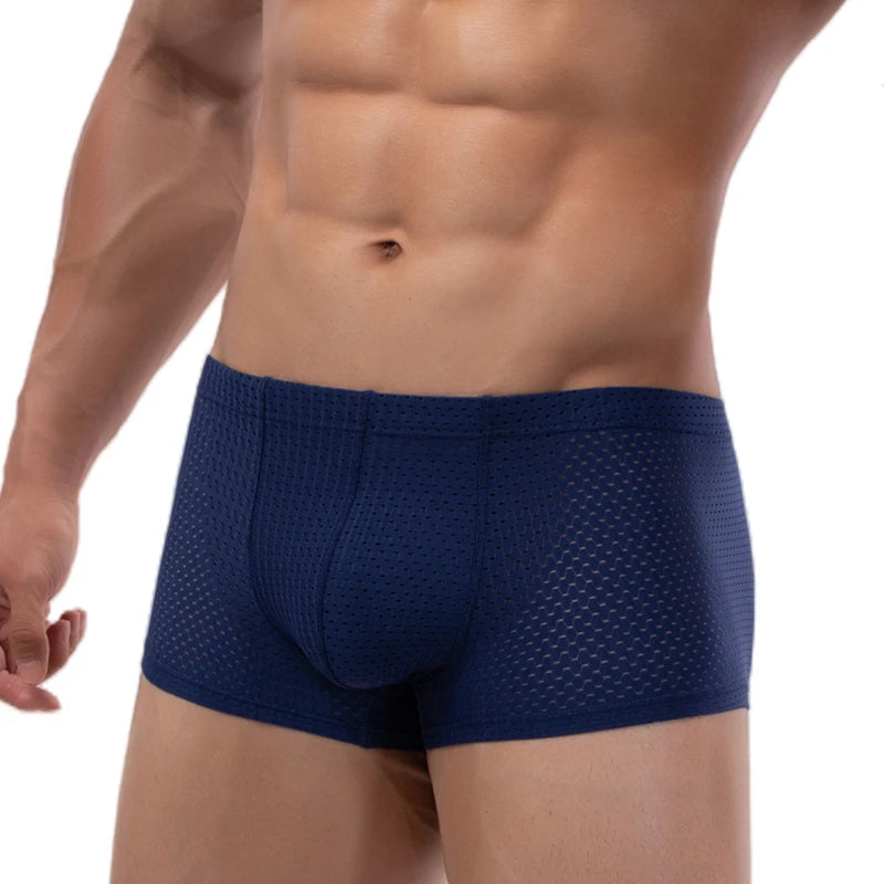 Men's Mesh Underwear Boxer Briefs See Through