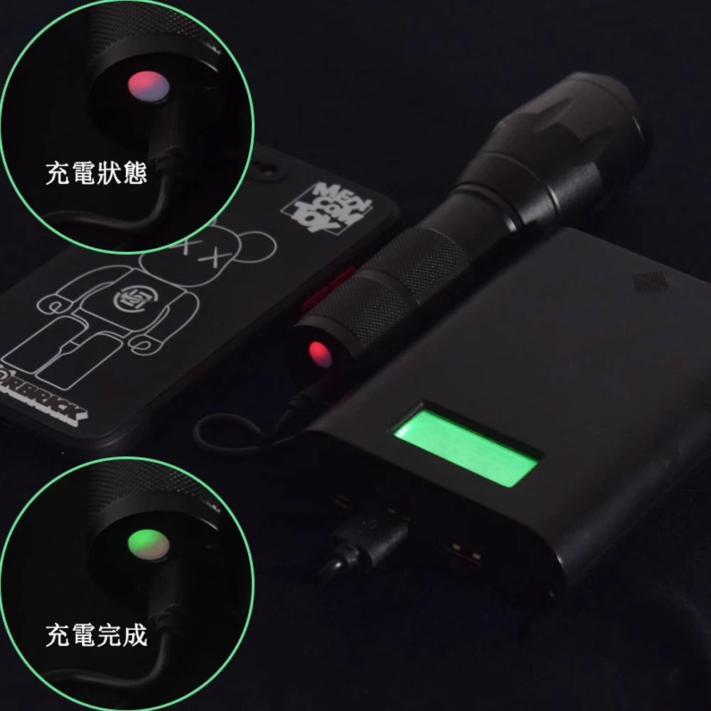 365nm & 395nm Ultraviolet Flashlight Blacklight,2 in 1 LED UV Flashlight for Resin Curing,Rocks & Minerals Hunting,Leak Detector
