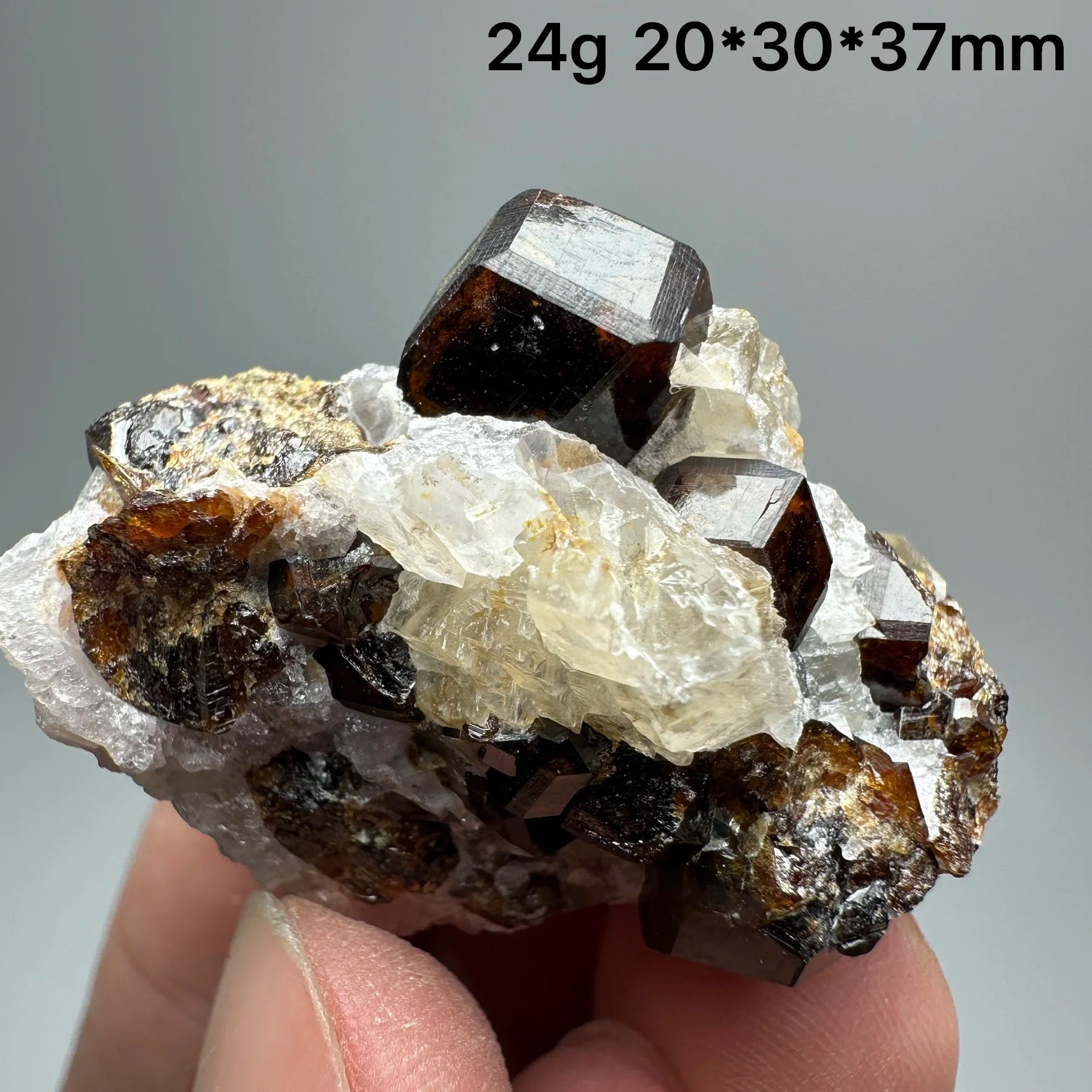 Natural Dark Brown Andradite Garnet Cluster Raw Crystal Mineral Specimen Calcite Matrix Healing Stone Home Decoration