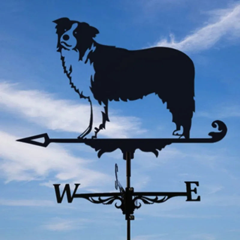 Metal Weathervane,Witch Iron Weather Vane,Sea Rover Wind Direction Indicator Garden Decoration Outdoor Roof Decoration Gardening