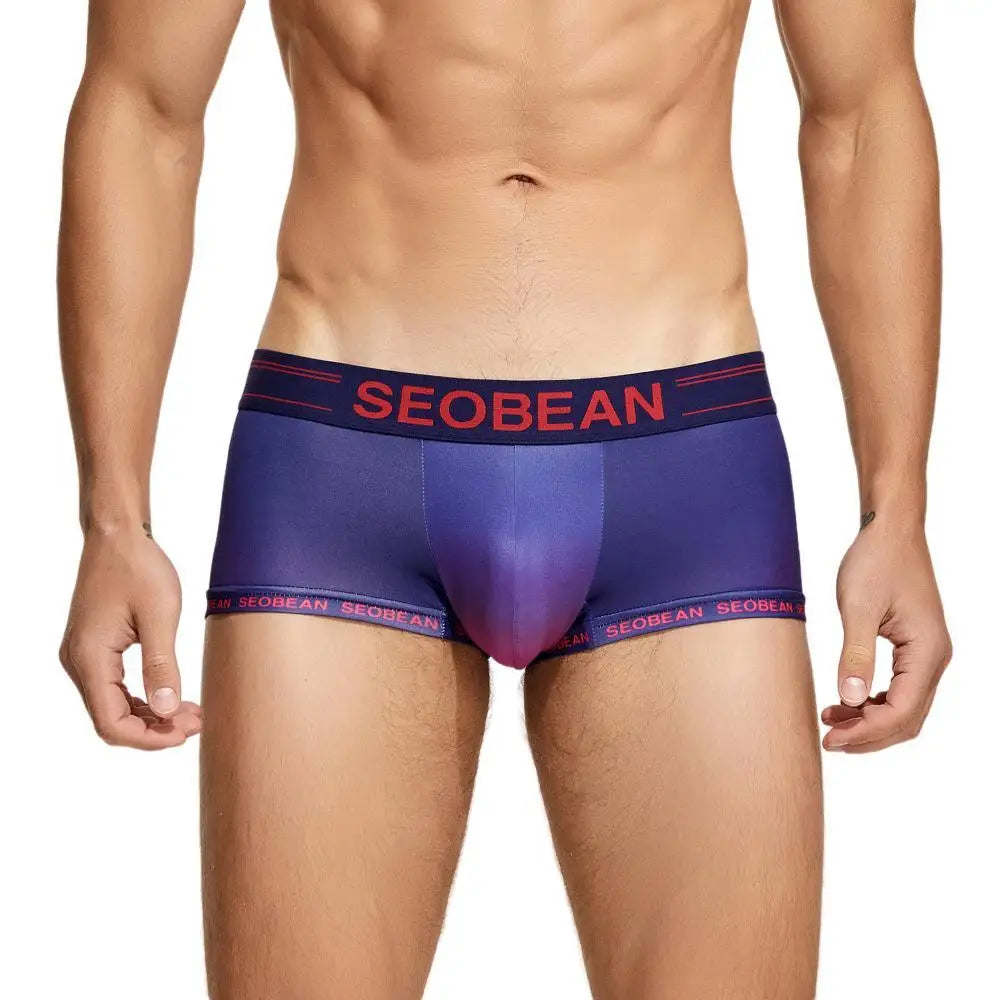 SEOBEAN Mens Underwear Boxers Briefs Colorful Underpants Boxershorts Sexy Low-waist Male Panties Cueca