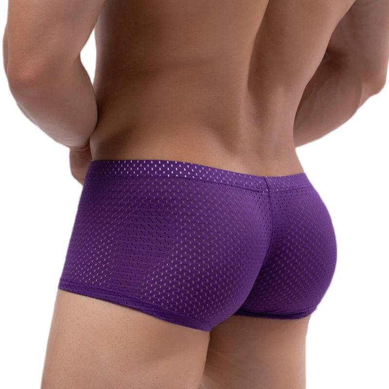 Men's Mesh Underwear Boxer Briefs See Through