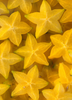 Star Fruit Seedling (Averrhoa carambola)